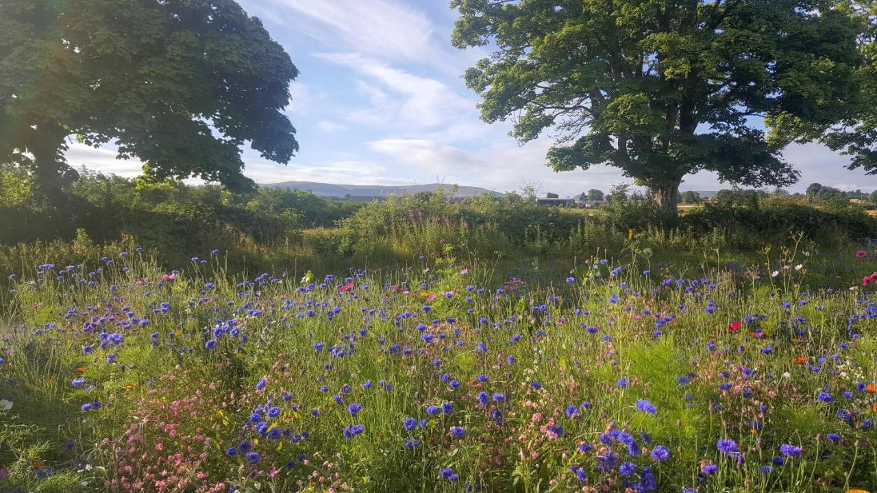 The Smiddy House Villa Auchterarder Luaran gambar